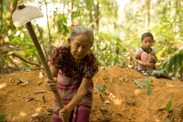 Nge digs for ka-tat tree roots, which she will cook in a stew for her and her grandchildren. 