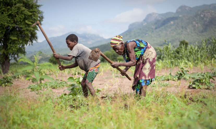 81-year-old farms next to her grandson 